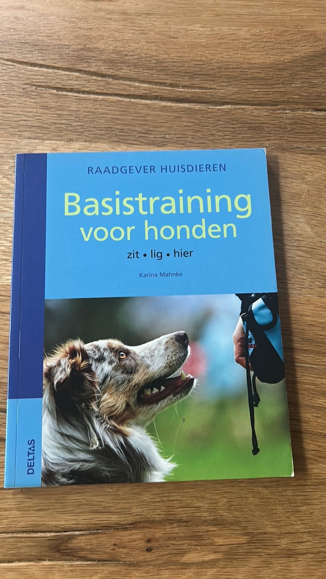 K. Mahnke - Basistraining voor honden, Ophalen of Verzenden, Zo goed als nieuw, Paarden of Pony's, K. Mahnke