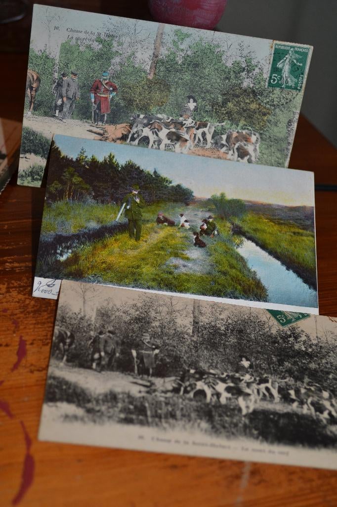 frankrijk 1900 lot 3 kaarten jacht jager honden, Ophalen of Verzenden, Voor 1920, Gelopen, Overige thema's