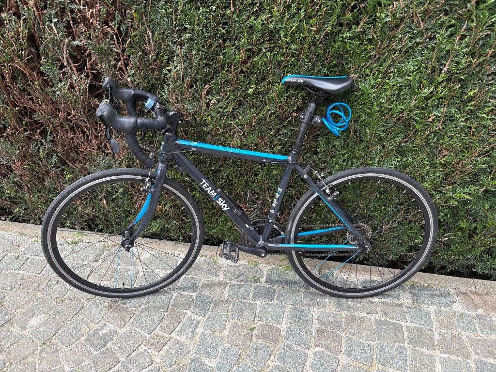 Racefiets - Team Sky Frog 70, Meer dan 20 versnellingen, Ophalen, Overige merken, Nieuw