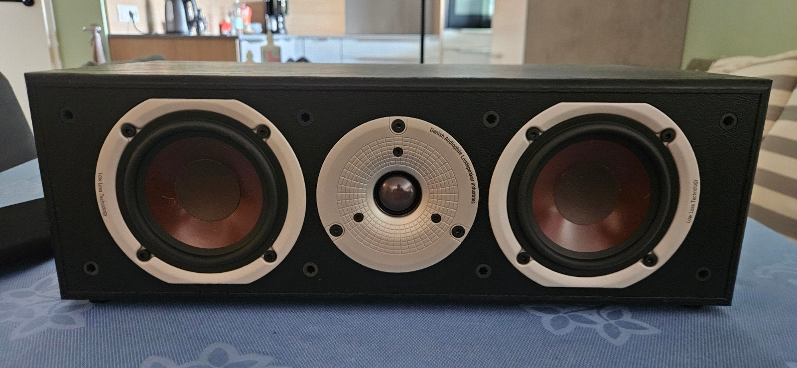 Dali Spektor Vokal Center speaker