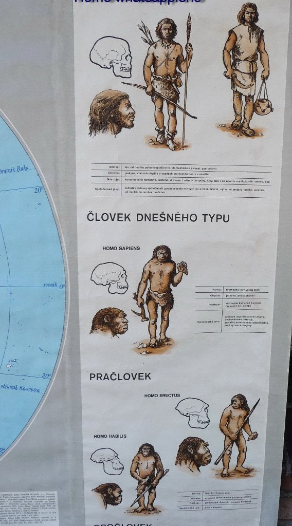 Oude schoolplaat wereldkaart over de prehistorie, Antiek en Kunst, Antiek | Schoolplaten, Ophalen of Verzenden, Geschiedenis