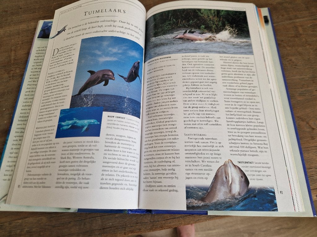 Boek / gids walvissen, dolfijnen en bruinvissen, Ophalen of Verzenden, Zo goed als nieuw, Overige onderwerpen