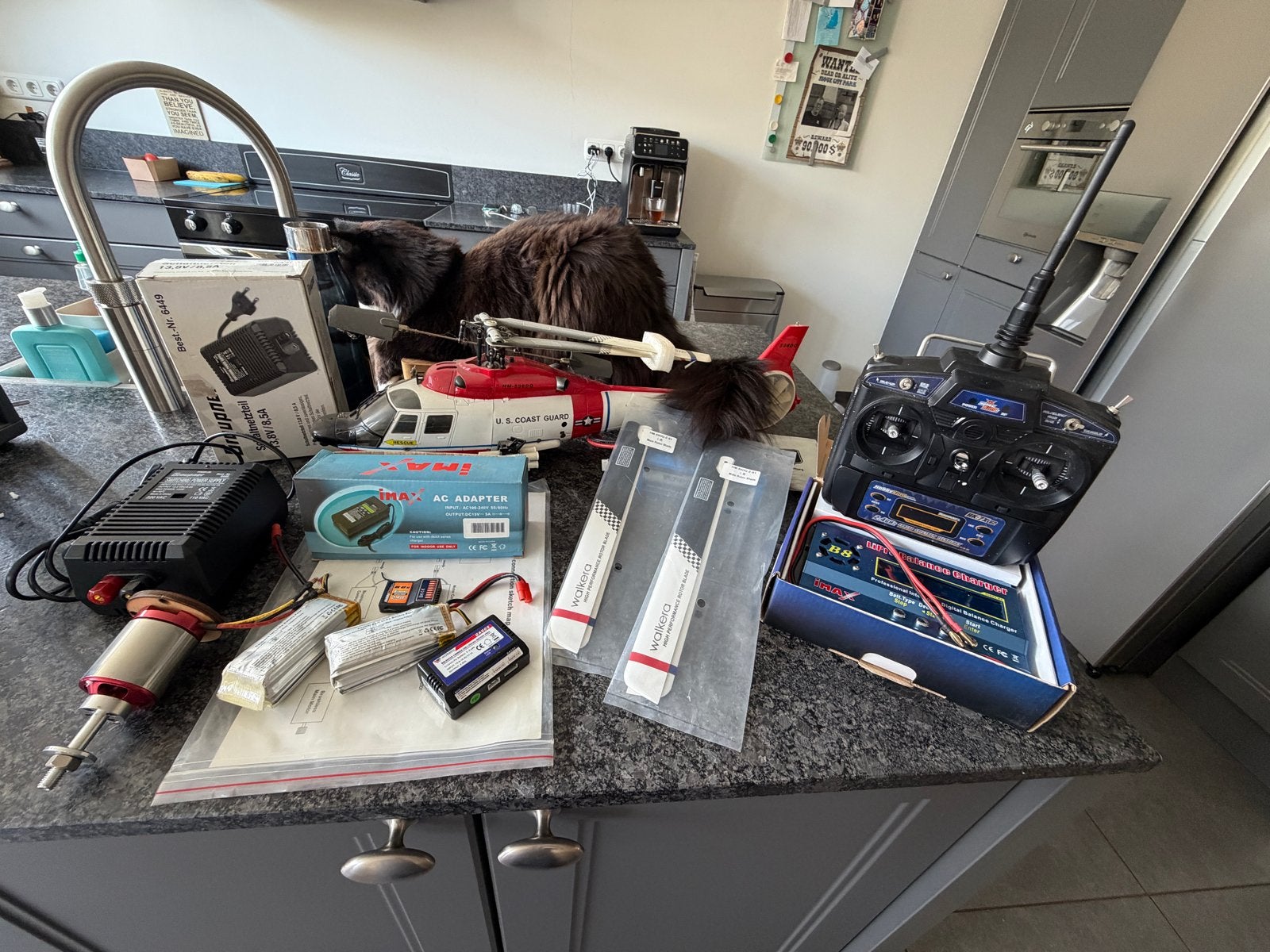 Walkera 59DQ 2.4 GHZ RC Helikopter RTF + accessoires