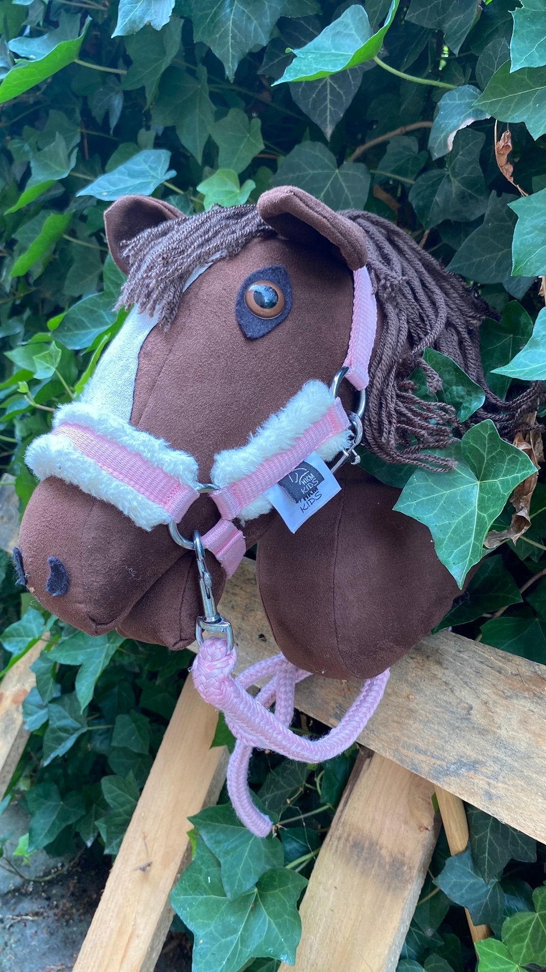 Hobby horse, Dieren en Toebehoren, Ophalen of Verzenden, Zo goed als nieuw