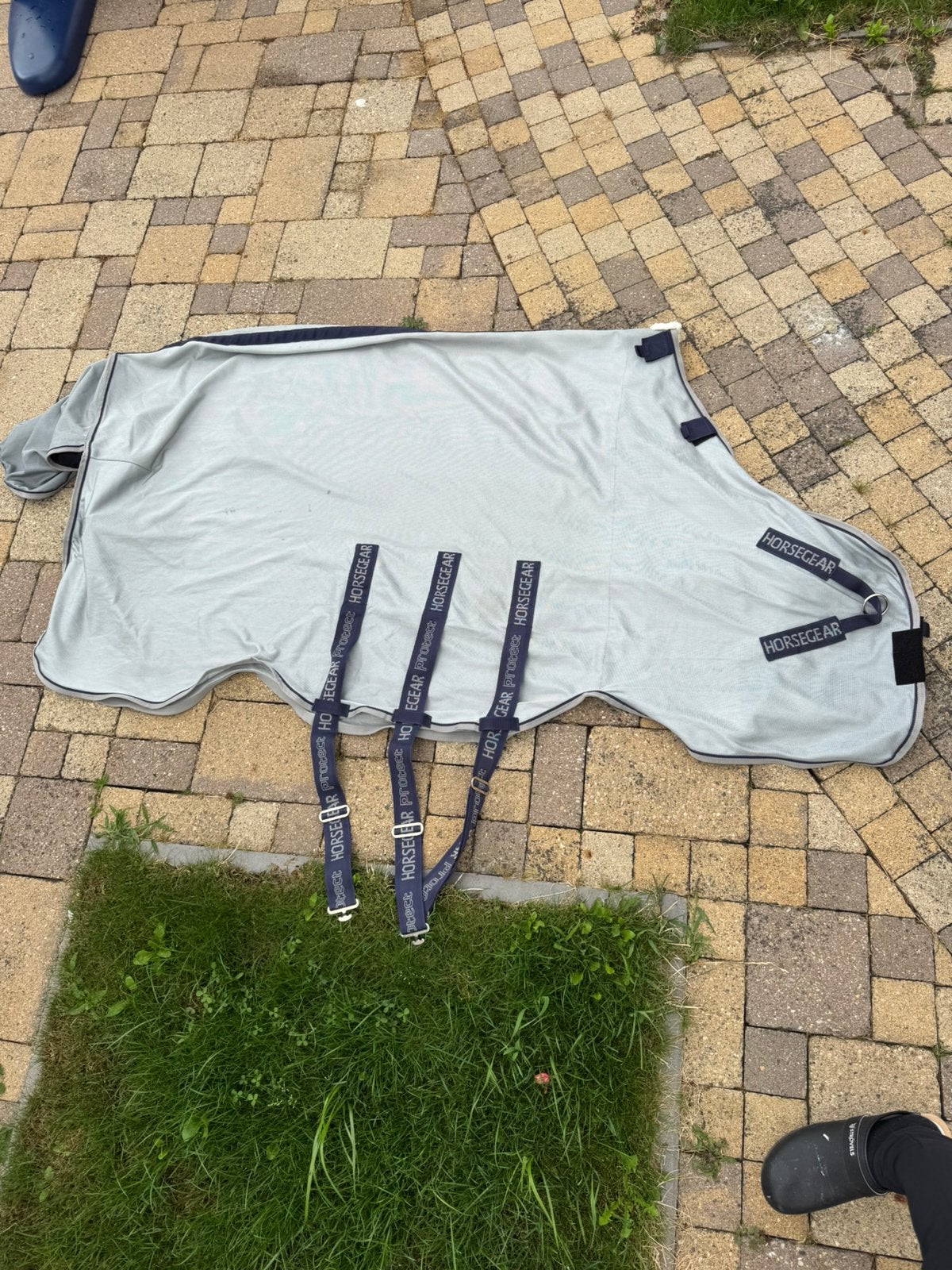 Horsegear HGProtect V2 met hals, maat 195, Ophalen of Verzenden, Zo goed als nieuw, Vliegendeken, Horsegear