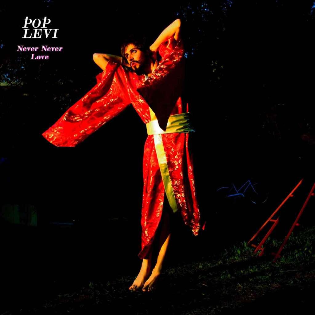 SALE-> CD POP LEVI - Never Never Love, Verzenden, Zo goed als nieuw, Poprock