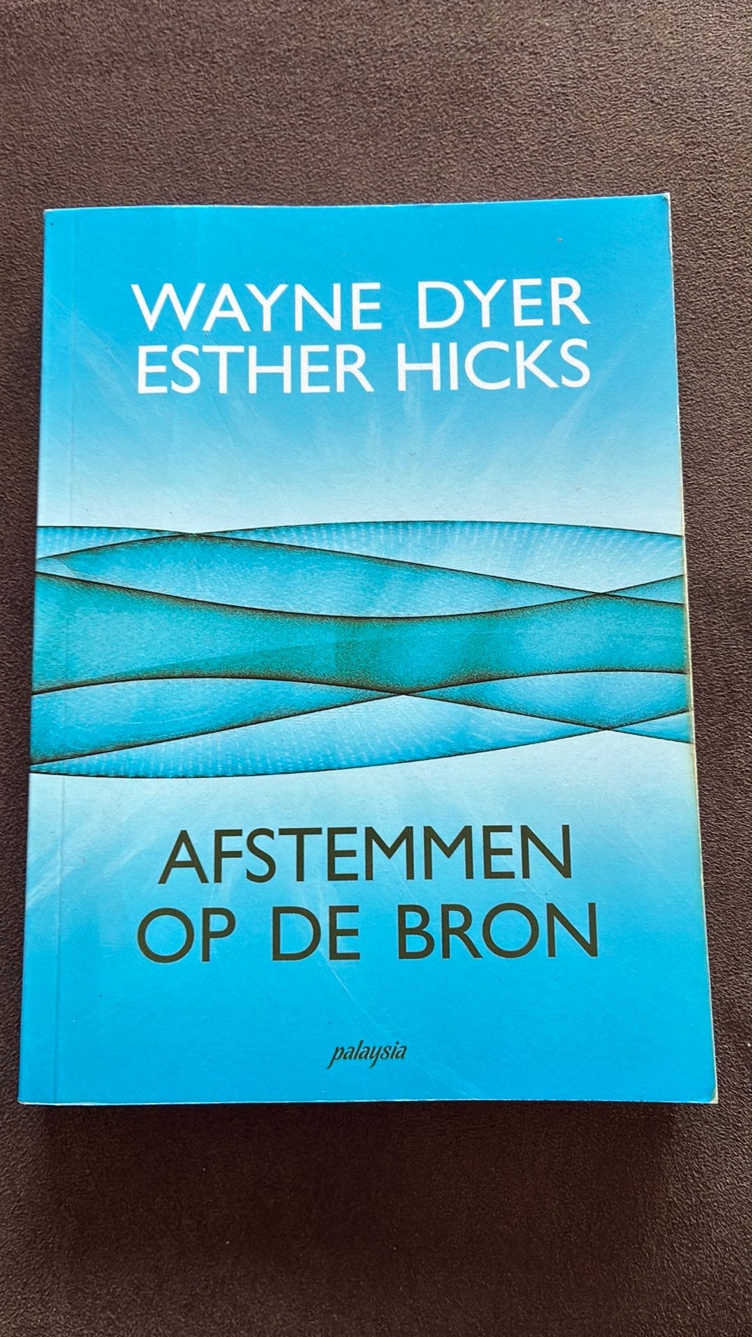 Esther Hicks - Afstemmen op de bron, Boeken, Tarot of Kaarten leggen, Esther Hicks; Wayne Dyer, Overige typen, Ophalen of Verzenden