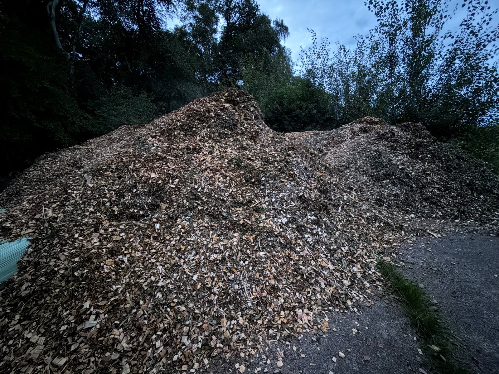 Verse houtsnippers voor tuin en paden, Ophalen, 100 cm of meer, Nieuw, Overige vormen