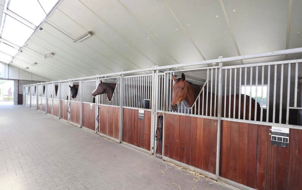 Pensionstalling aangeboden, Dieren en Toebehoren, Stalling, 1 paard of pony