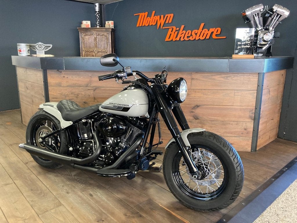 Harley Davidson FLS Softail Custom Special Paint Kreide Pors, Motoren, 3700 W Juneau Ave
53208  Milwaukee, US, Info@harley-davidson.com