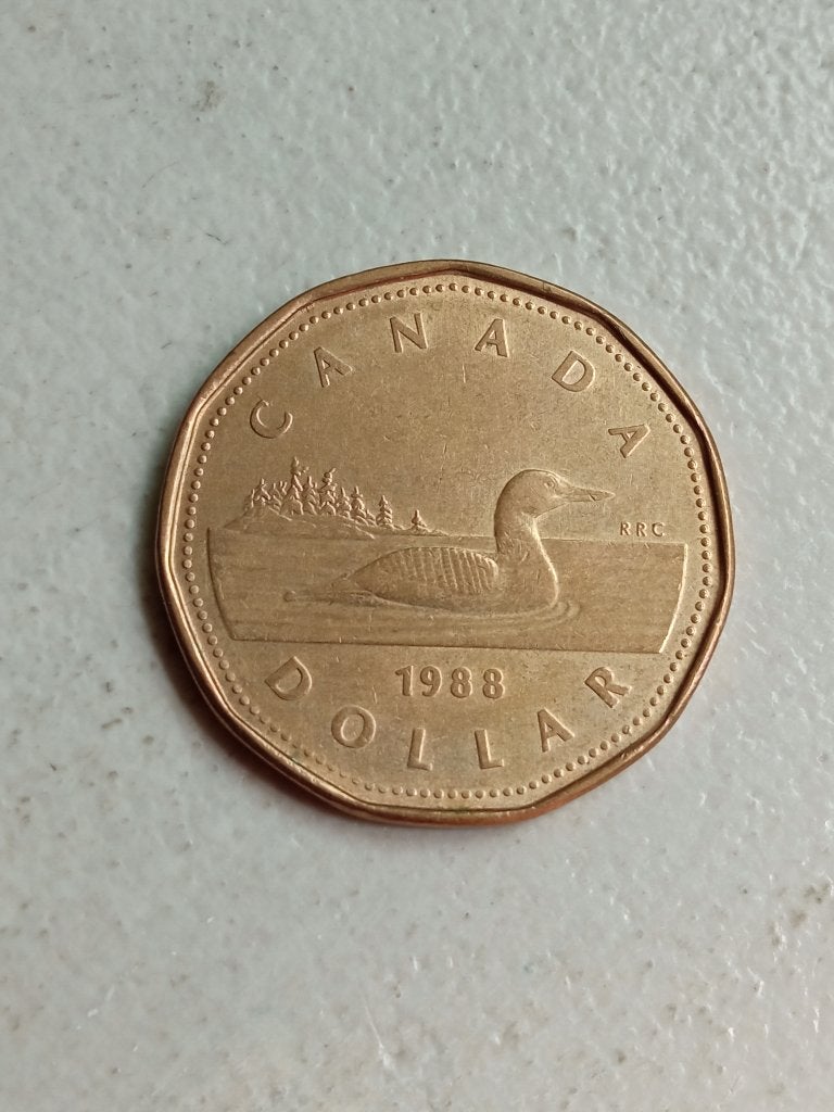 Canada 1 dollar 1988., Postzegels en Munten, Munten | Amerika, Ophalen of Verzenden, Noord-Amerika, Losse munt