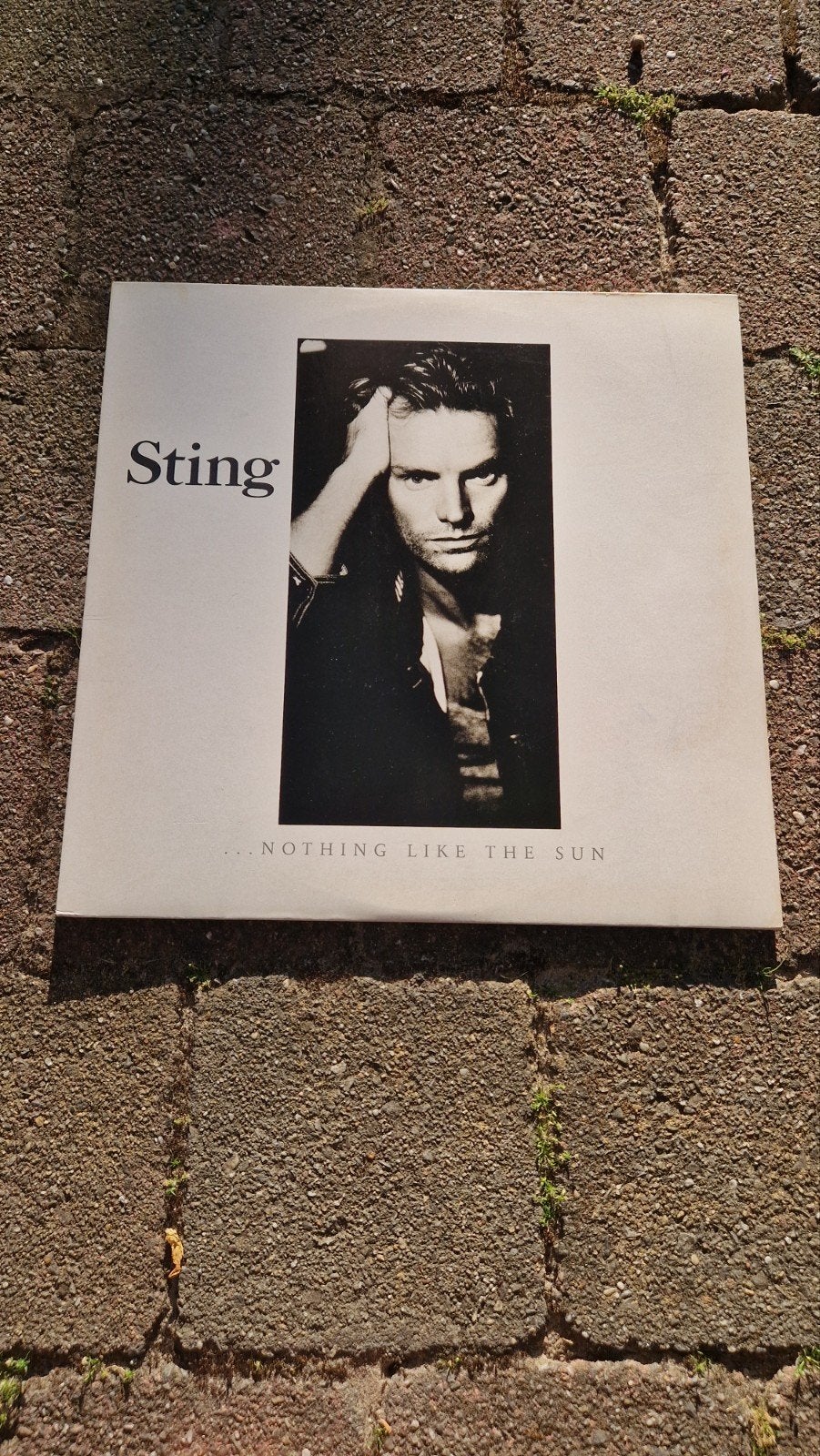 Sting - ...Nothing Like The Sun LP (Pop, Rock), LP, Gebruikt, Pop, Ophalen of Verzenden