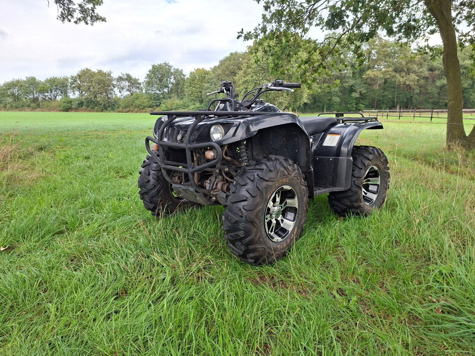 Yamaha Grizzly 350 4X4, 348 cc, 1 cilinder, 12 t/m 35 kW