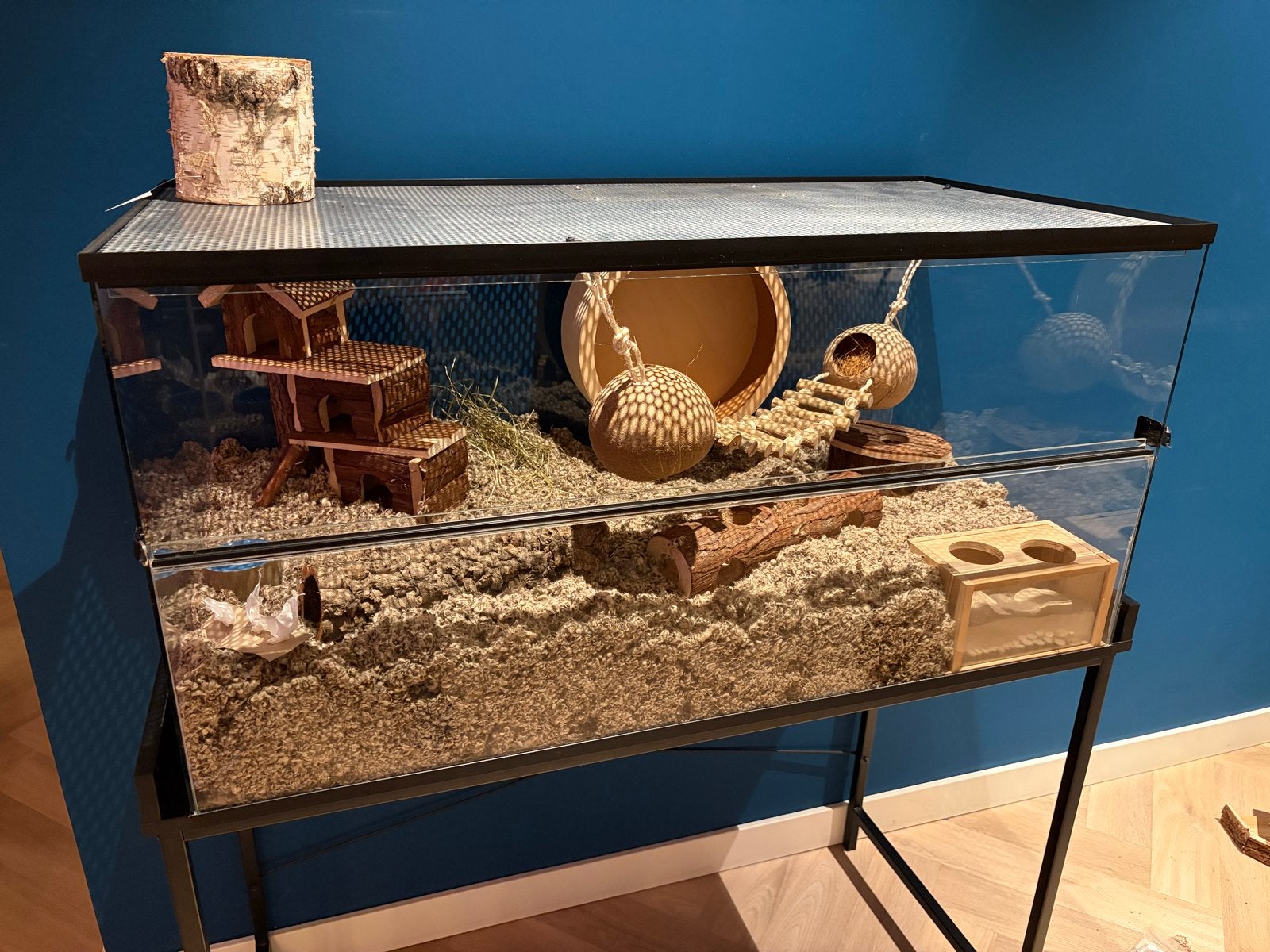 Terrarium voor knaagdieren (100x50x50), Dieren en Toebehoren, Knaagdieren en Konijnen | Hokken en Kooien, Overige typen, Hamster
