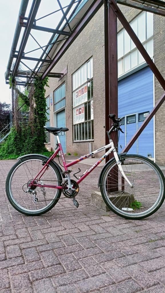 Giant coldrock vintage/retro mountainbike, Fietsen en Brommers, Fietsen | Crossfietsen en BMX, Verzenden, Gebruikt, 24 inch of meer