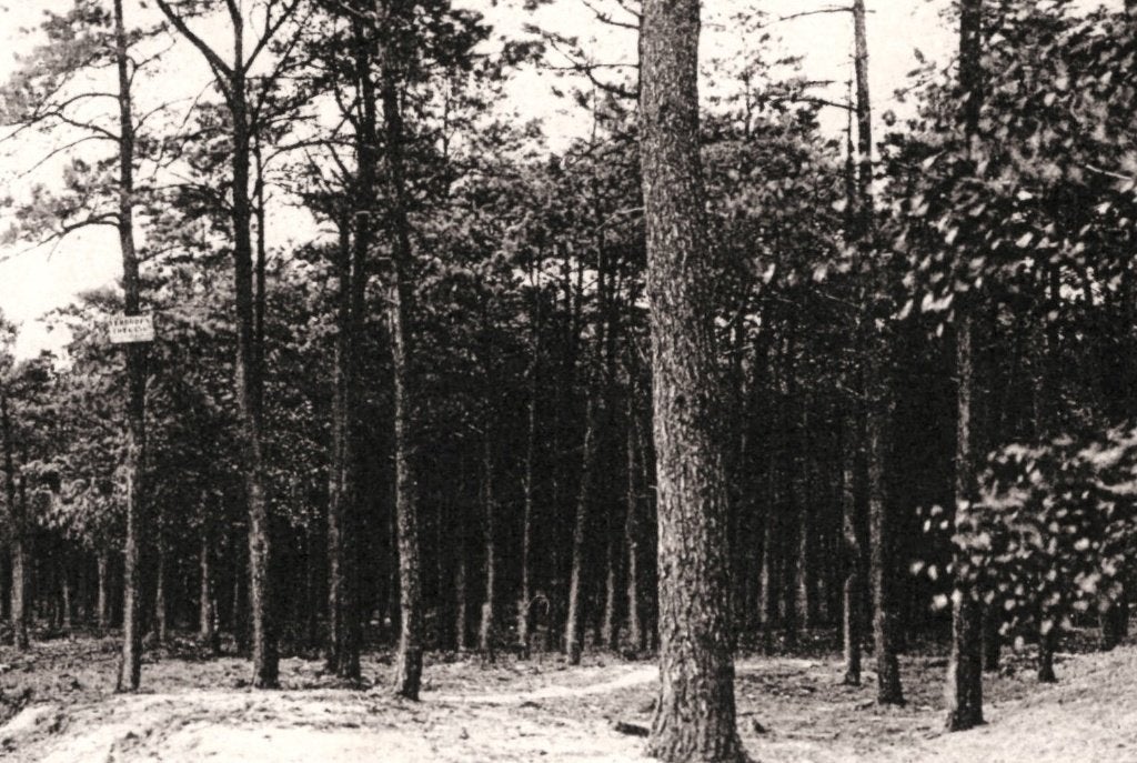 968177	Hollandsche Rading	laantje Kamphuis Utr Stadszending, Ophalen of Verzenden, 1920 tot 1940, Gelopen, Utrecht