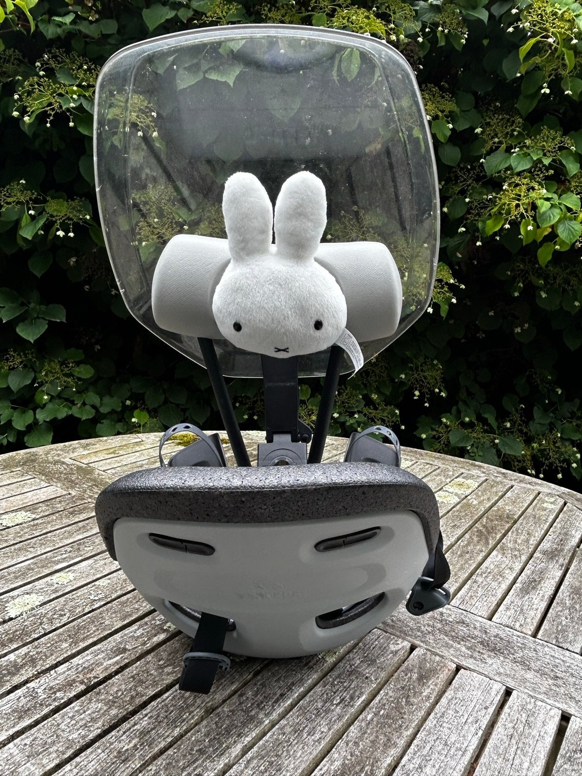 Thule Yepp Nexxt Mini Fietszitje met Windscherm, Fietsen en Brommers, Ophalen, Gebruikt, 0 t/m 13 kg, Voorzitje