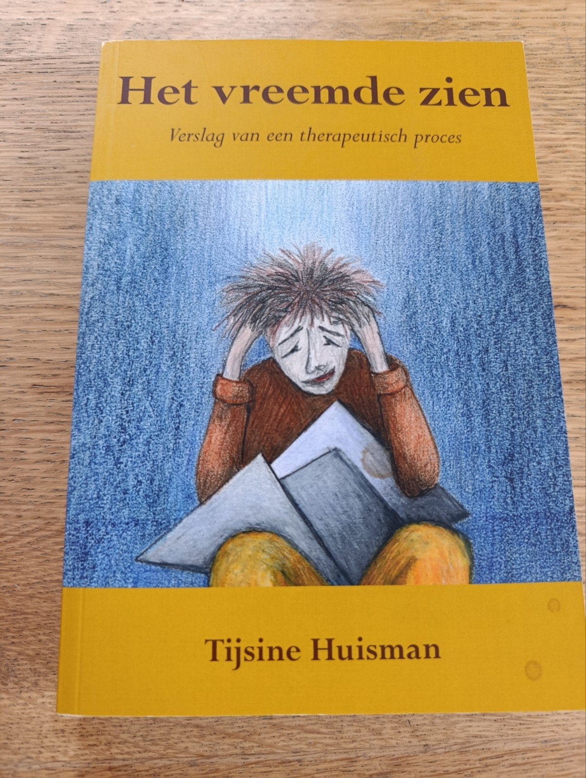 Tijsine Huisman, Het vreemde zien, Ophalen of Verzenden, Zo goed als nieuw, Tijsine Huisman
