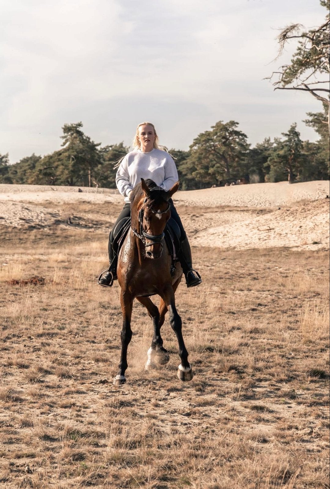 Talentvolle dressuurmerrie, Dieren en Toebehoren, Paarden, Merrie, Met stamboom, M, Dressuurpaard