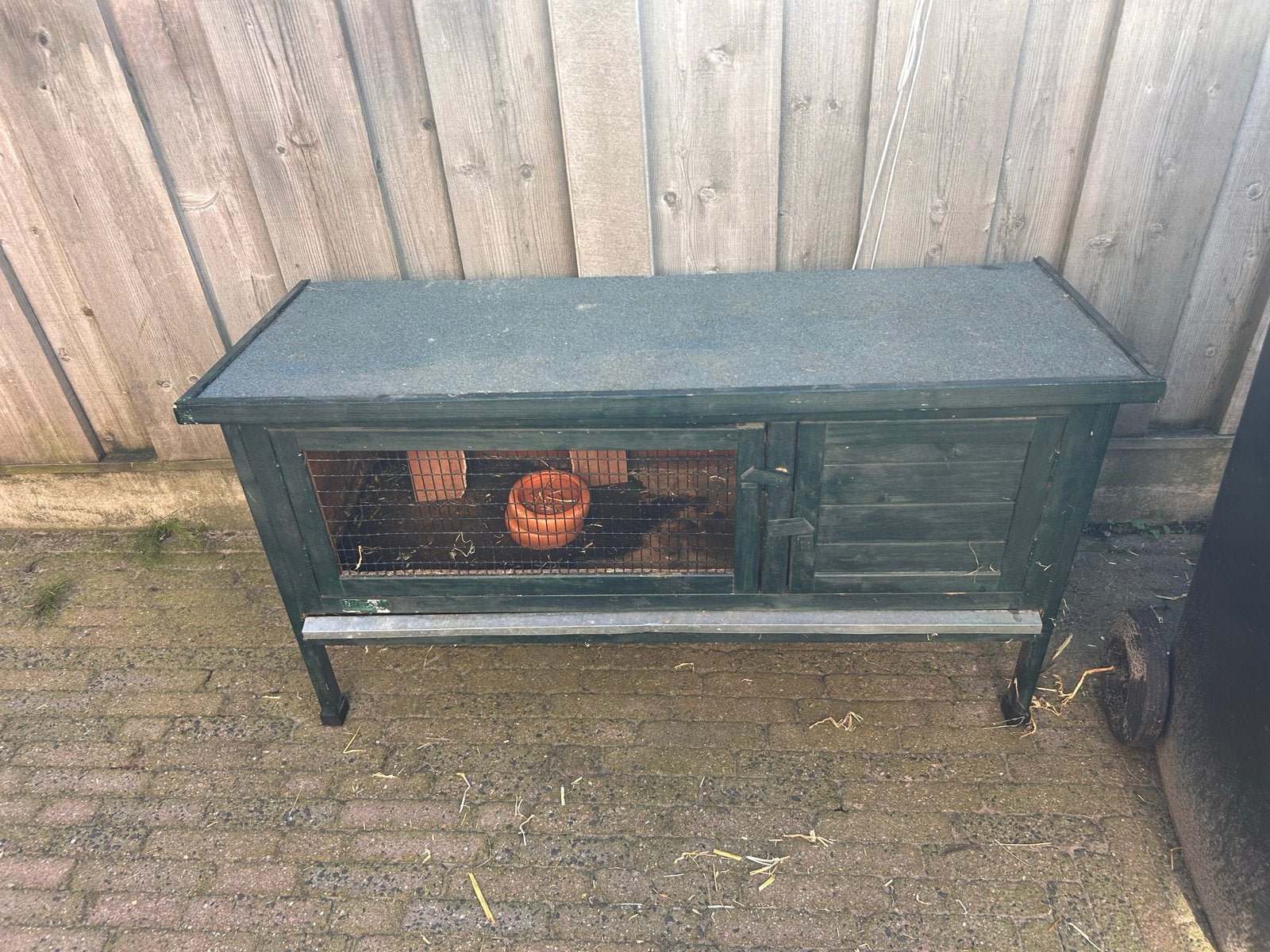 Buiten hok knaagdier, Dieren en Toebehoren, Ophalen