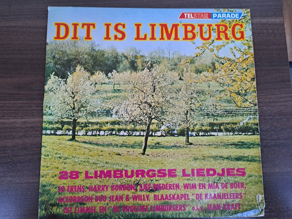 TELSTAR Dit Is Limburg - 28 Limburgse Liedjes, LP, Ophalen of Verzenden, Zo goed als nieuw, 12 inch