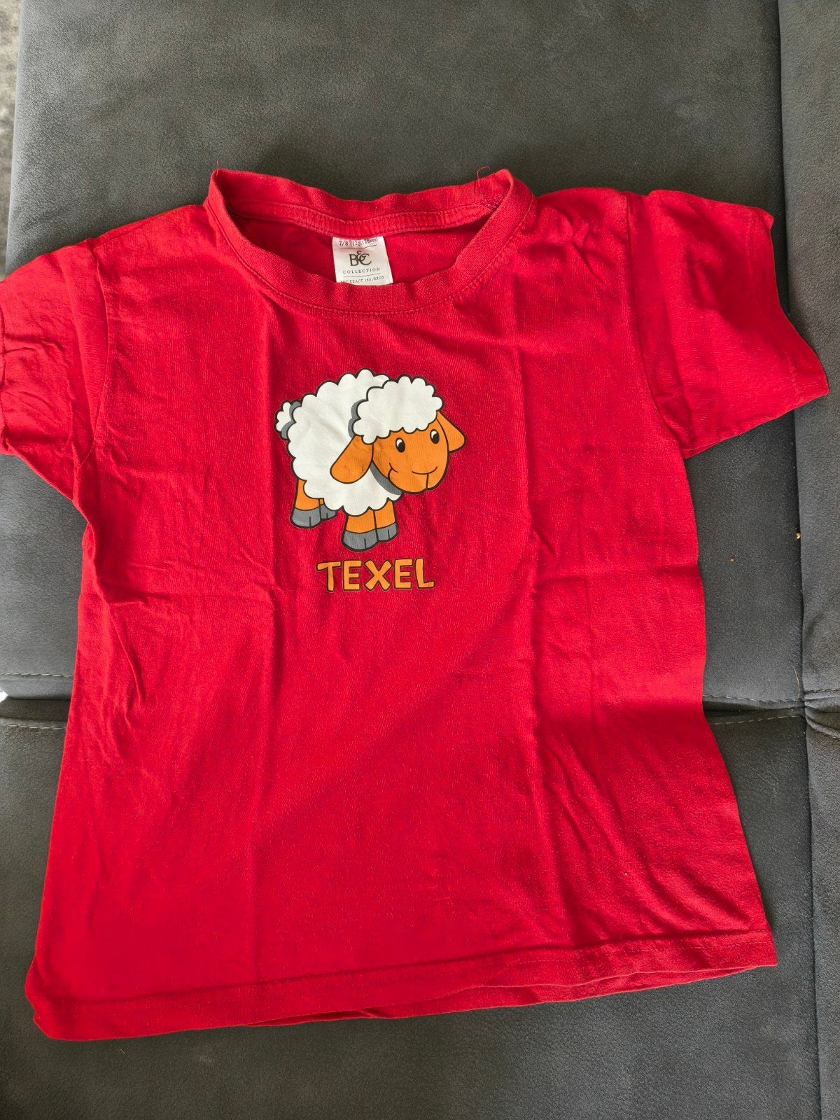 shirt Texel schaap maat 7/8 jaar, Jongen of Meisje, Ophalen of Verzenden, Zo goed als nieuw, Shirt of Longsleeve