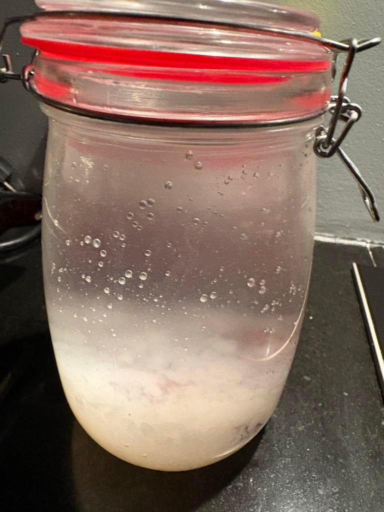 Waterkefir, Ophalen of Verzenden