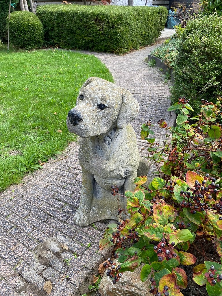 Stenen hond voor tuin, Tuin en Terras, Ophalen, Gebruikt, Steen, Dierenbeeld