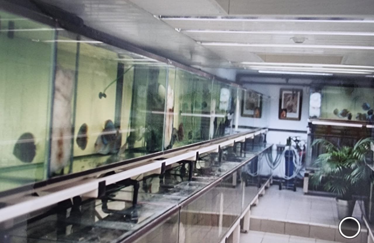 Aquariumstelling, Ophalen, Leeg aquarium