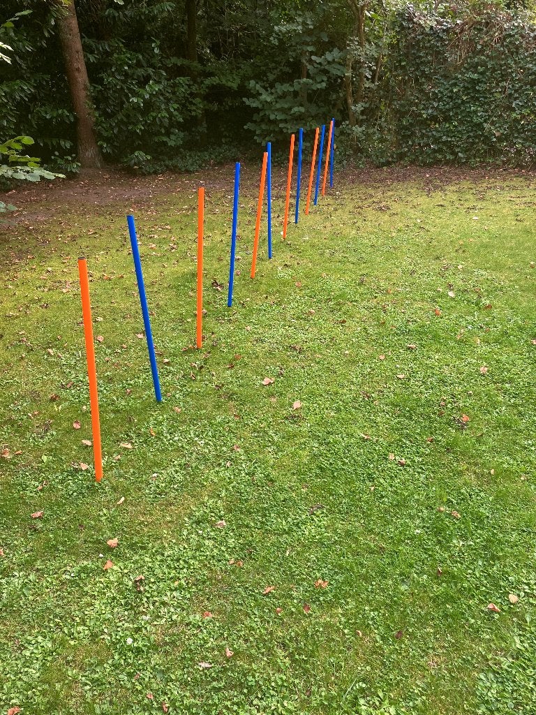Agility slalom set, Ophalen of Verzenden, Zo goed als nieuw, Behendigheidspeelgoed, Overige merken