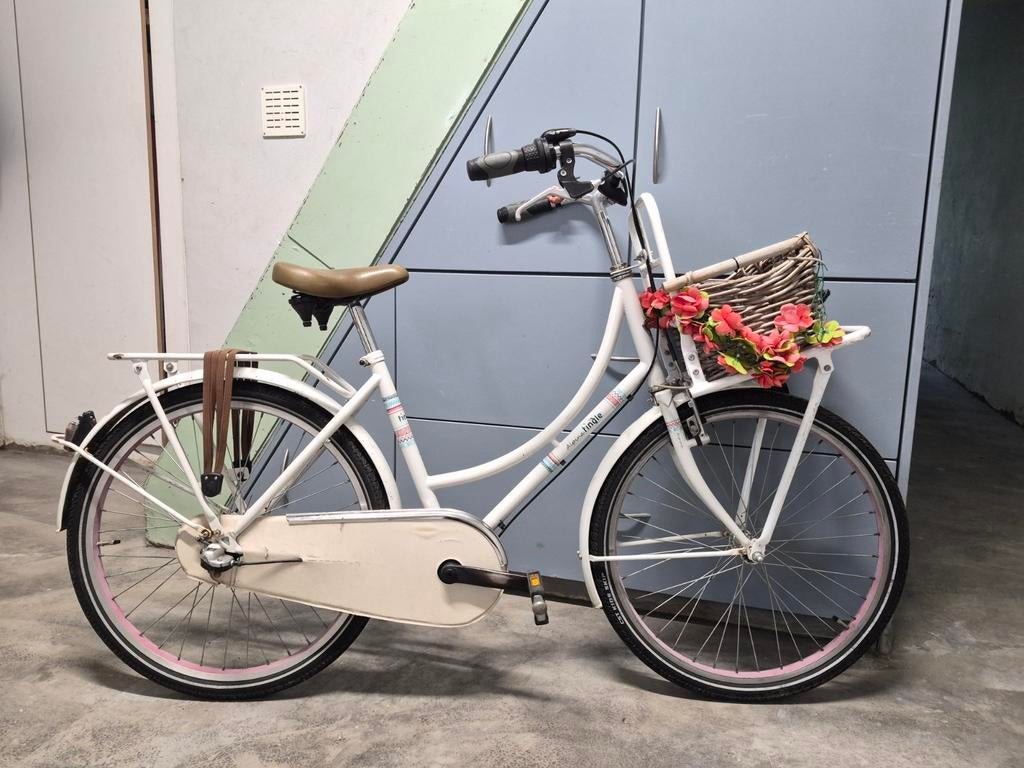 Damesfiets met mandje en lage instap, Terugtraprem, 50 tot 53 cm, Ophalen, Overige merken