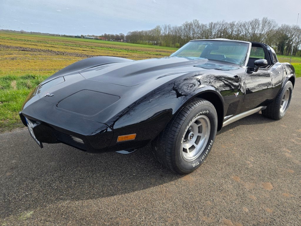 Chevrolet USA Corvette 5.7 Targa, foto 2