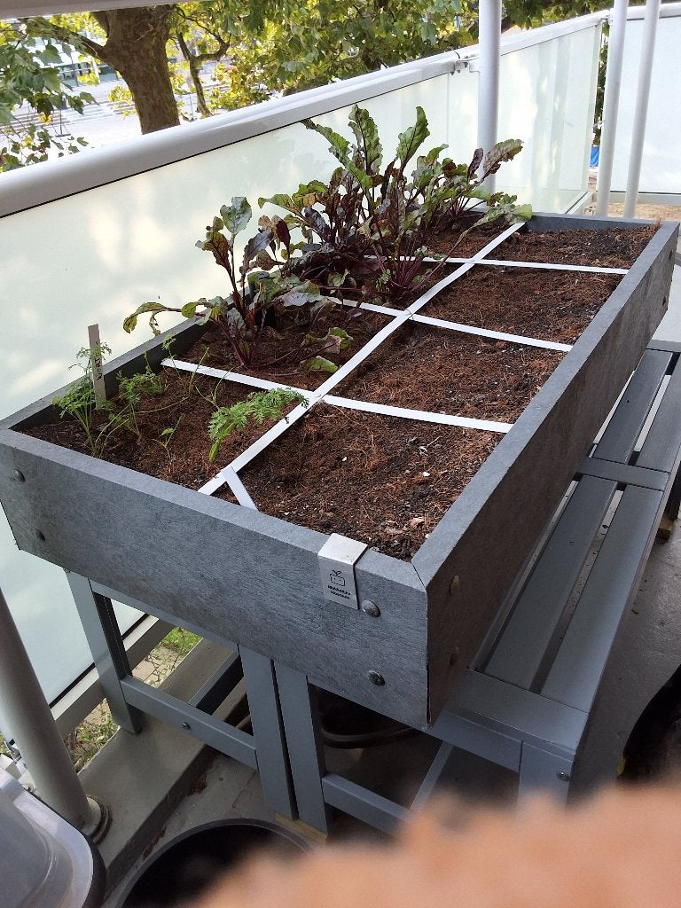 Makkelijke moestuin bakken, Ophalen, Overige materialen, Gebruikt, Minder dan 30 cm