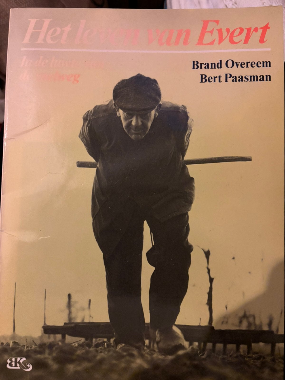 Het leven van Evert, Ophalen of Verzenden, Zo goed als nieuw, Overige onderwerpen