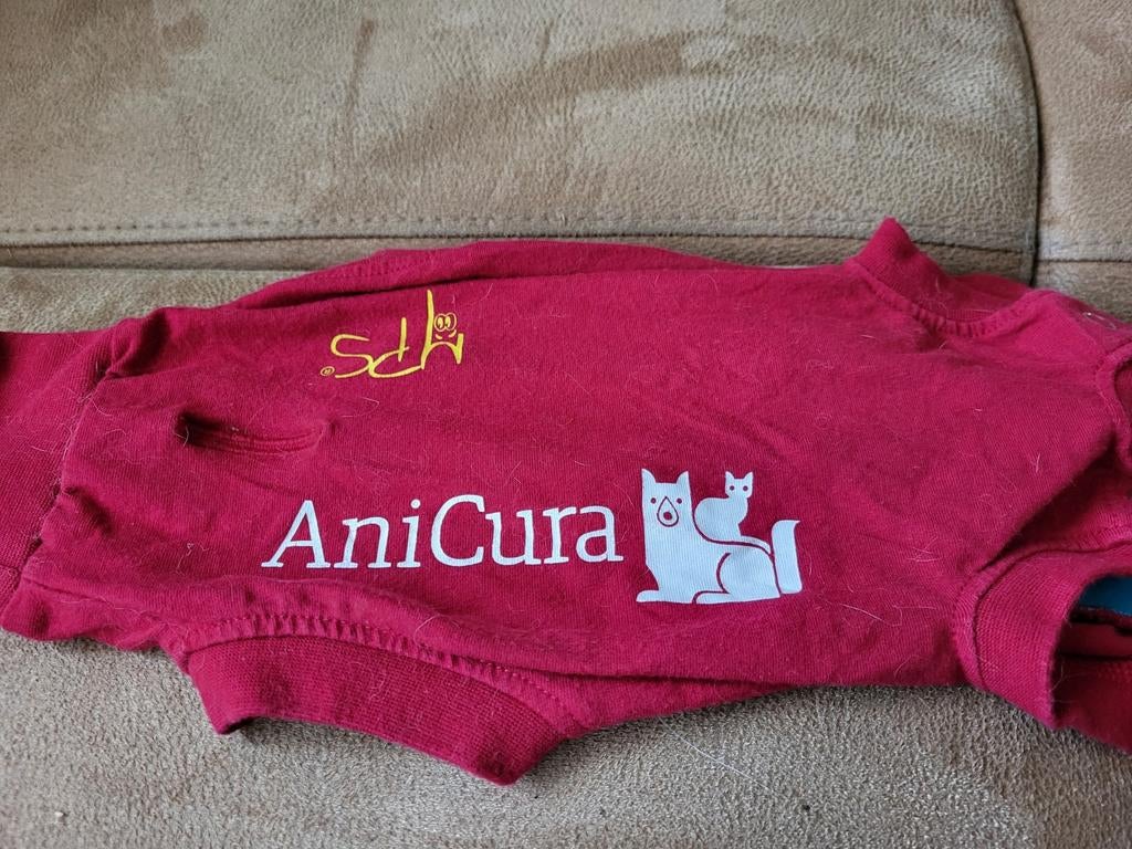 Medical pet shirt 3xs, Ophalen of Verzenden, Gebruikt