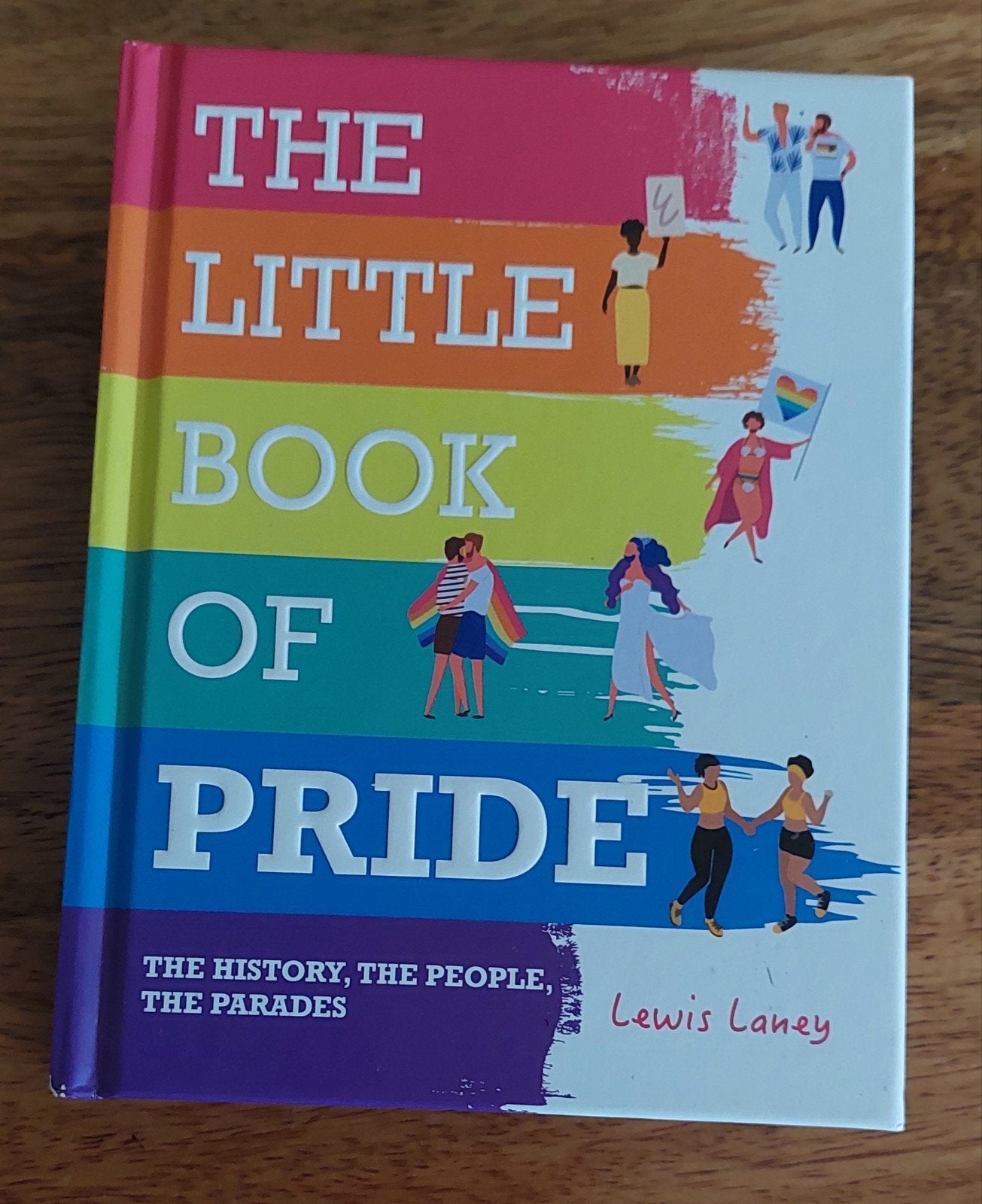 The Little Book of Pride: Geschiedenis, mensen, parades, Ophalen of Verzenden, Zo goed als nieuw, Lewis Laney
