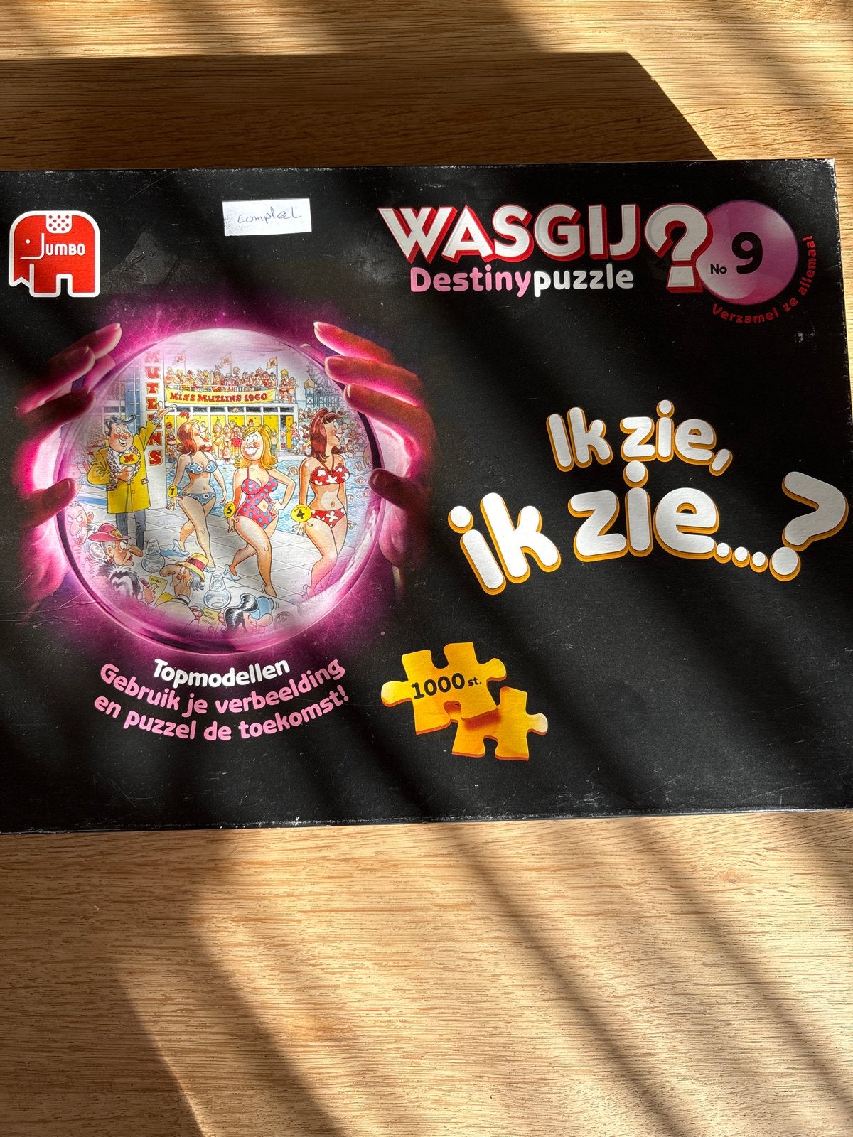 WASGIJ? Destiny Puzzle No. 29 - Ik zie, ik zie...?, Ophalen, 500 t/m 1500 stukjes, Gebruikt, Legpuzzel