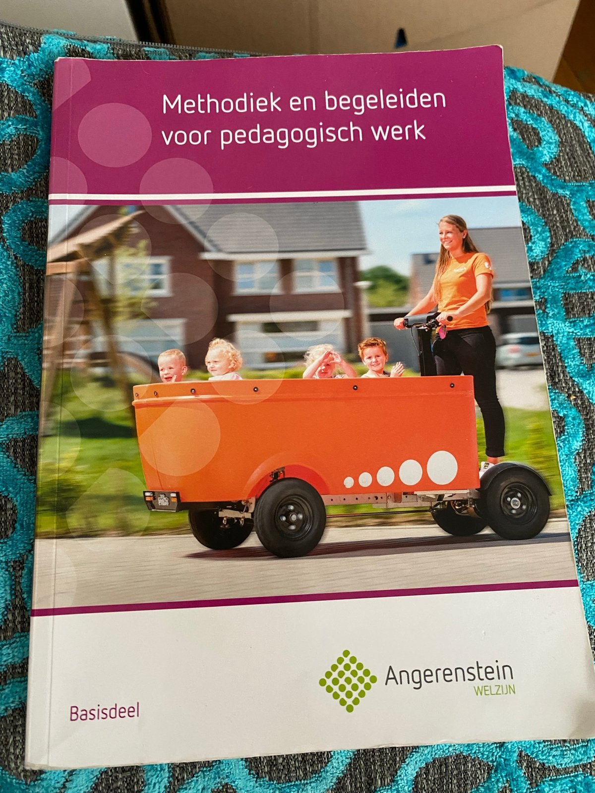 Methodiek en begeleiden voor pedagogisch werk, Boeken, Gelezen, Ophalen of Verzenden, J. Bolt; W. den Brok; B. Becker; M. Beers