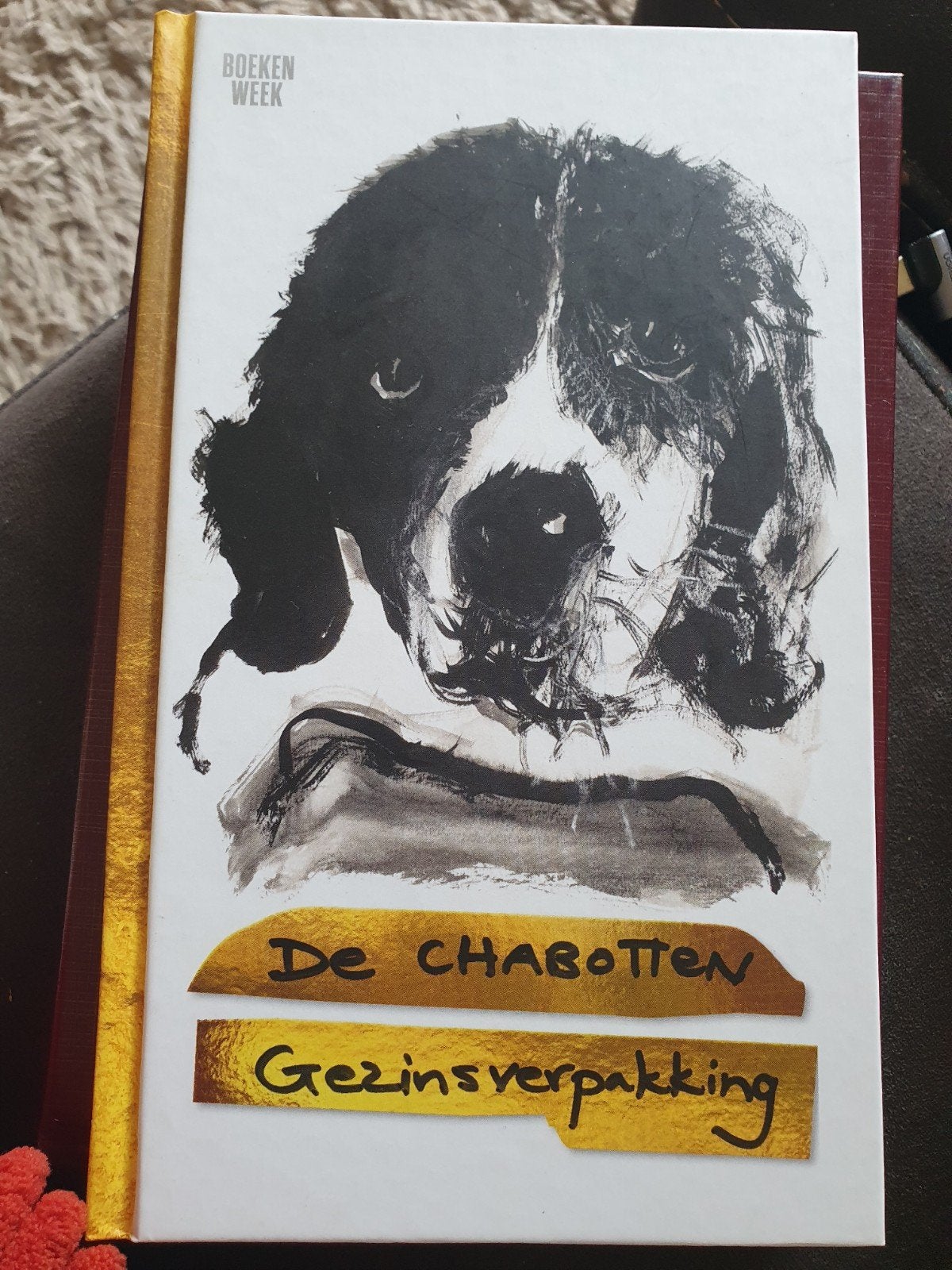 De Chabotten | boekenweekgeschenk 2024, Ophalen of Verzenden, Zo goed als nieuw, De Familie Chabot
