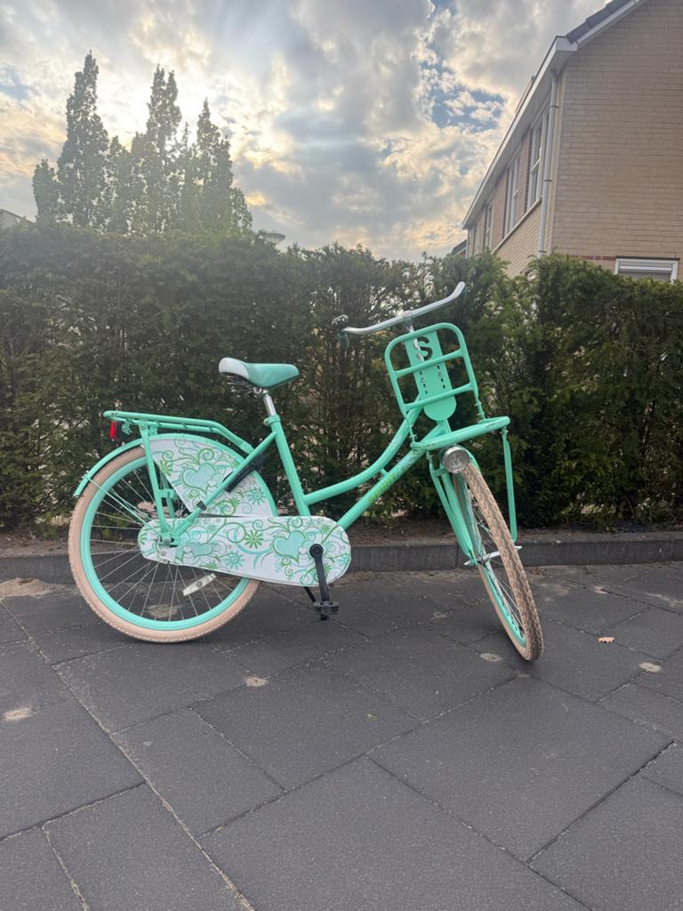 Spirit meisjesfiets - Mintgroen met voordrager, Ophalen, Gebruikt, Terugtraprem, 24 inch