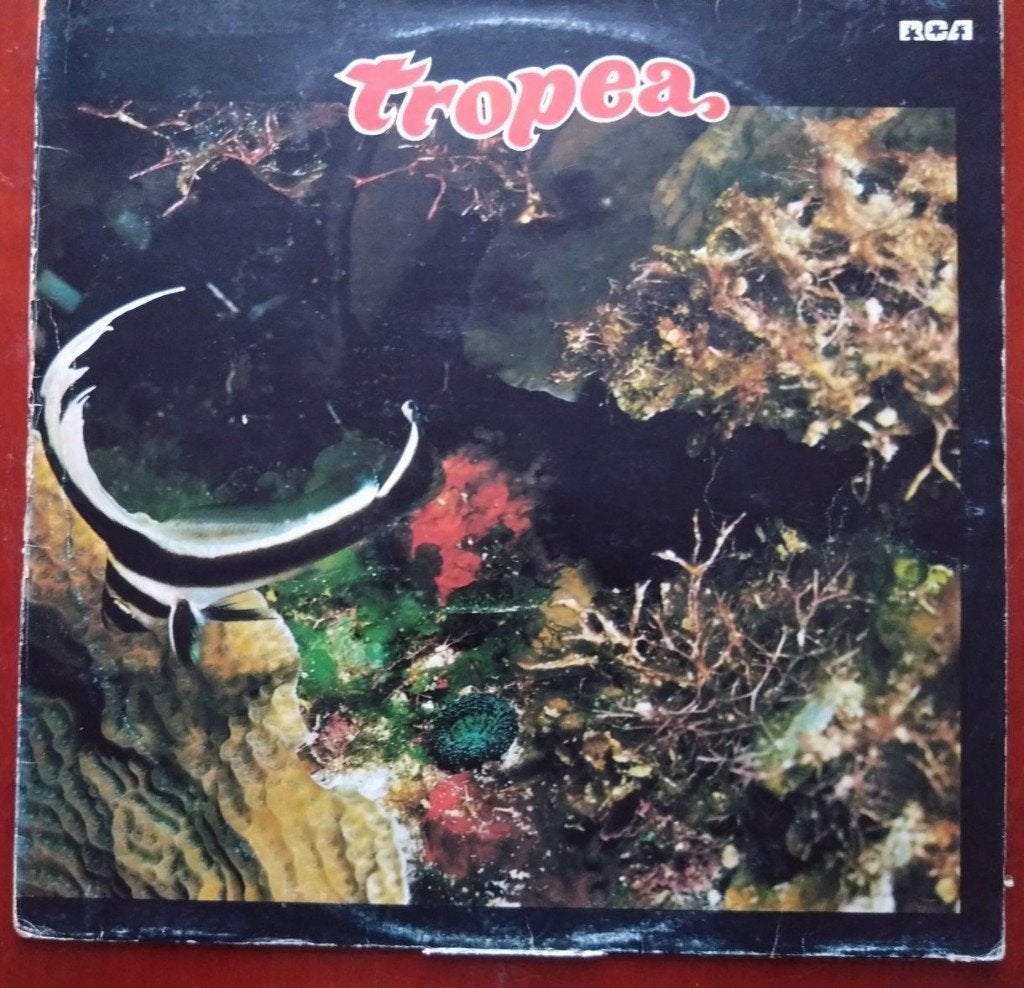 2x Vinyl LP John Tropea, Ophalen, LP, Gebruikt, Gatefold hoes