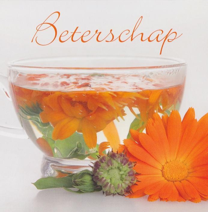 SALE--CD VARIOUS - Beterschap >FOLIE, Cd's en Dvd's, Cd's | Religie en Gospel, Nieuw in verpakking, Gospel, Verzenden