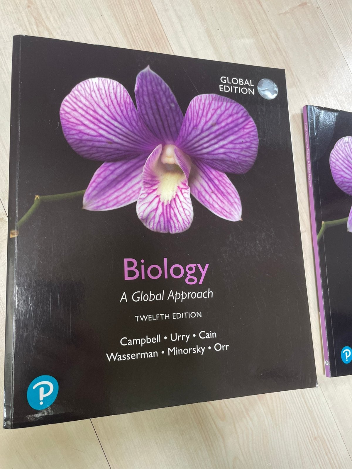 Campbell Biology 12e: A Global Approach, Ophalen of Verzenden, Natuurwetenschap