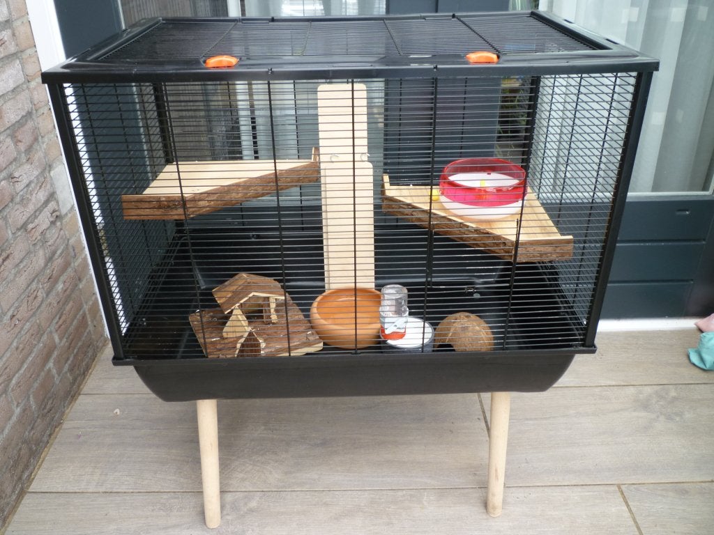 Cavia en of hamsterkooi., Kooi, Gebruikt, Rat, 75 tot 110 cm