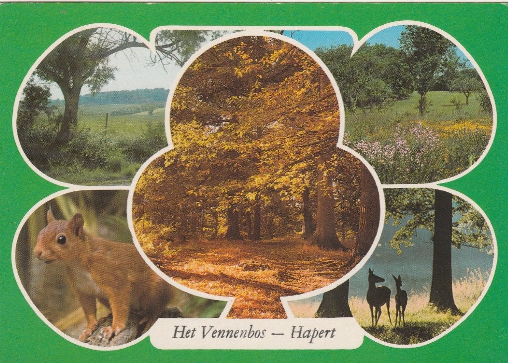 HAPERT Het Vennenbos, Verzenden, 1980 tot heden, Gelopen, Noord-Brabant