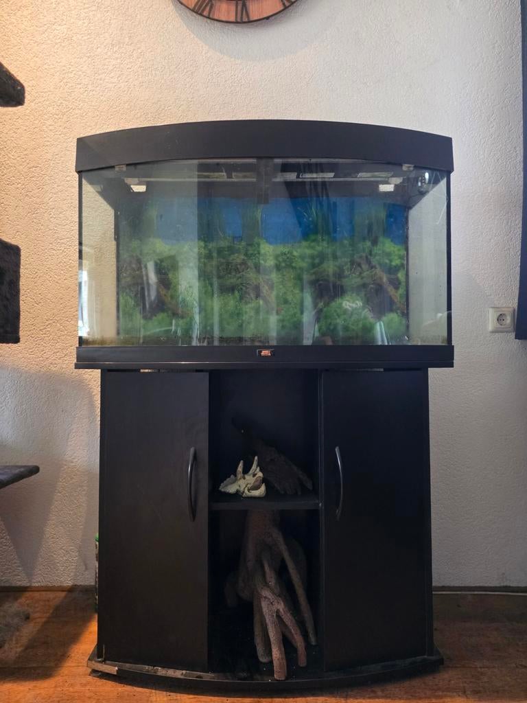 Juwel Vision 180 + Kast + Eheim Ecco Pro, Ophalen, Gebruikt, Leeg aquarium