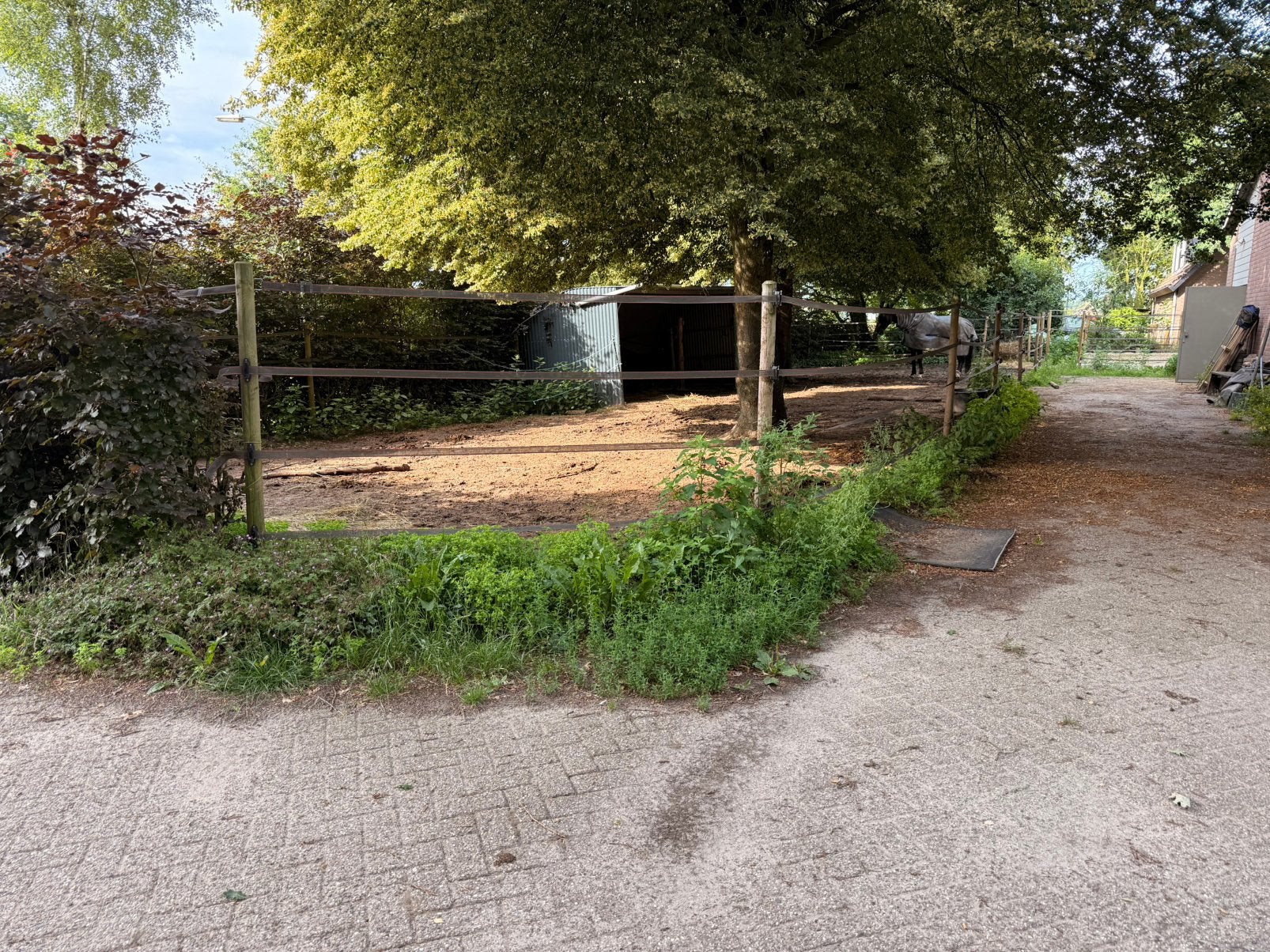 Tijdelijke paddock beschikbaar  (zelfstandig paarden houden), Dieren en Toebehoren, Stalling en Weidegang, Stalling, 2 of 3 paarden of pony's