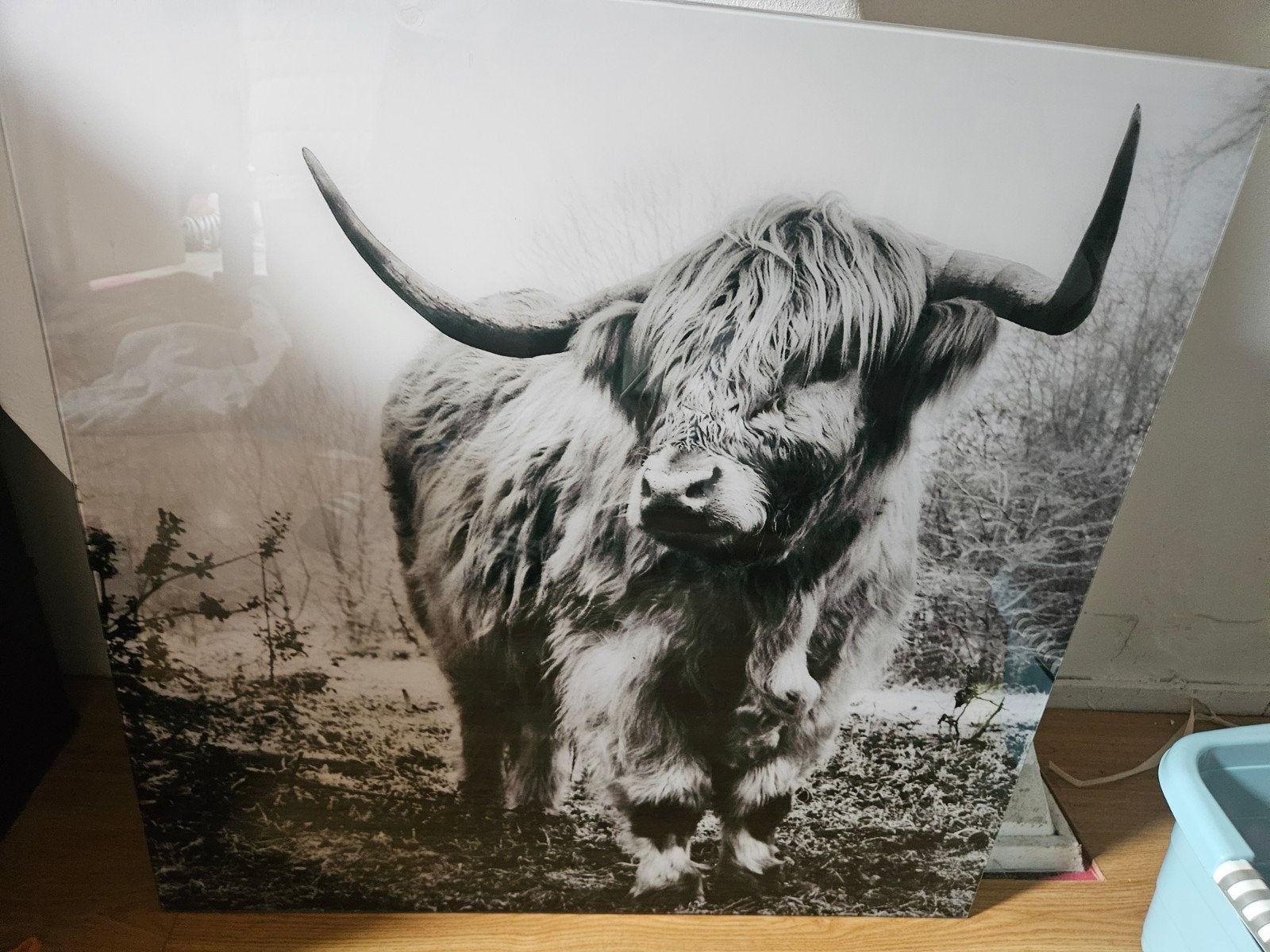Schilderij plexiglas, Huis en Inrichting, Woonaccessoires | Schilderijen, Tekeningen en Foto's, Ophalen, Zo goed als nieuw, 75 tot 100 cm