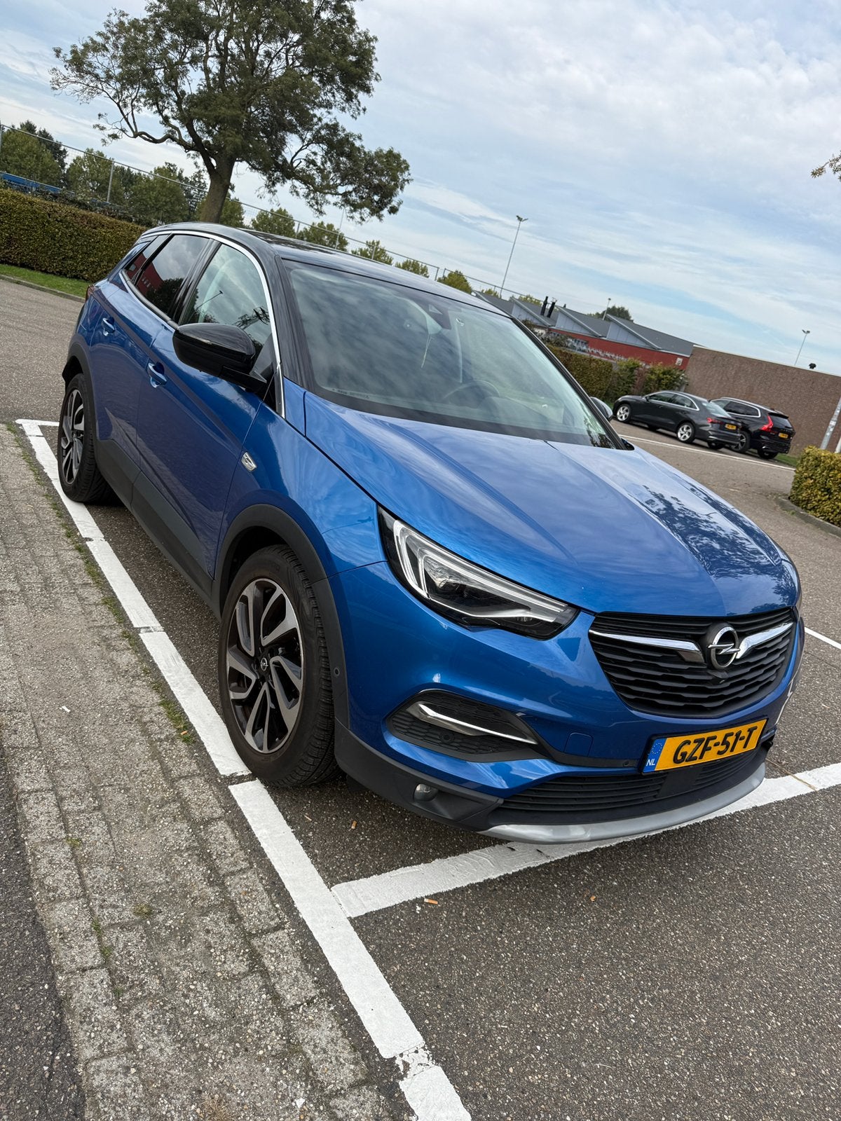 Opel Grandland X Turbo S&S 2019 | Veel opties | Nwe riem, Voorwielaandrijving, 1199 cc, Verwarmde buitenspiegels, Blauw