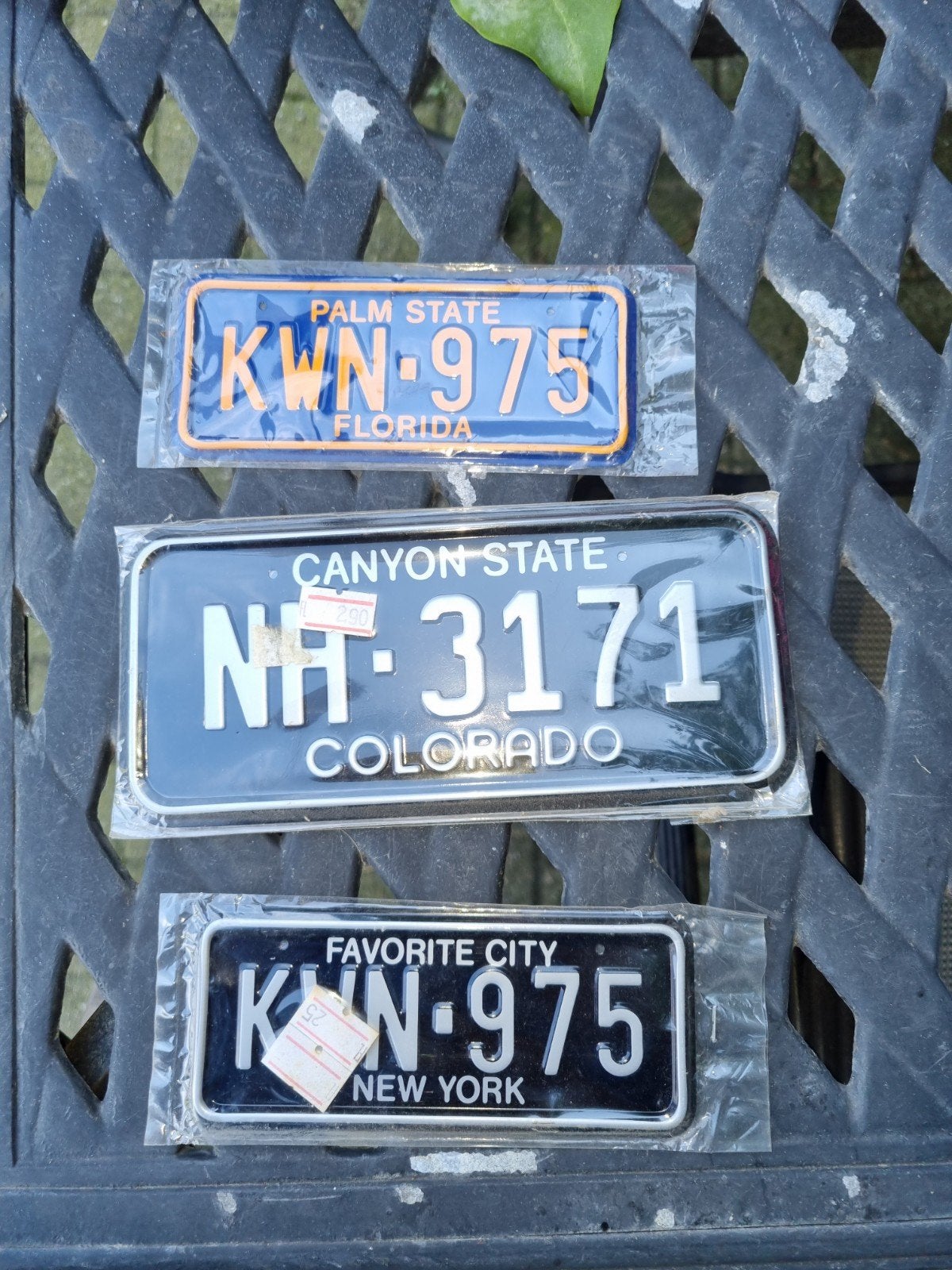 Amerikaanse kentekenplaten - Florida, Colorado, New York, Ophalen of Verzenden, Nieuw, Auto's